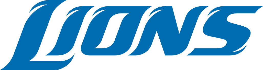 Detroit Lions 2009-2016 Wordmark Logo t shirt iron on transfers